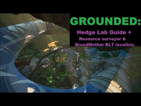 Grounded: The Hedge lab guide.