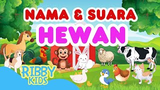 Download lagu BELAJAR MENGENAL NAMA DAN SUARA HEWAN | HEWAN TERNAK | HEWAN PELIHARAAN | HEWAN BUAS mp3 Download lagu BELAJAR MENGENAL NAMA DAN SUARA HEWAN | HEWAN TERNAK | HEWAN PELIHARAAN | HEWAN BUAS mp3