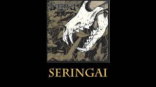 Download lagu SERINGAI - Program Party Seringai Lirik (Live Konser) mp3
