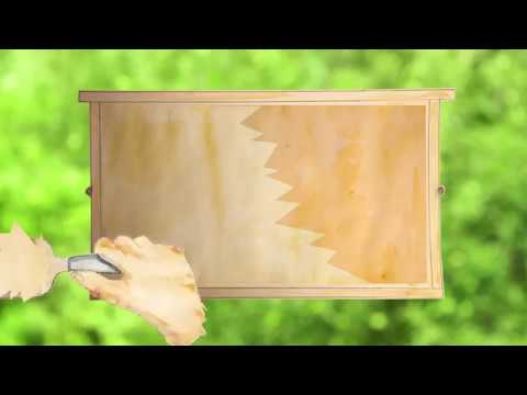 Avtäckning av vaxkaka