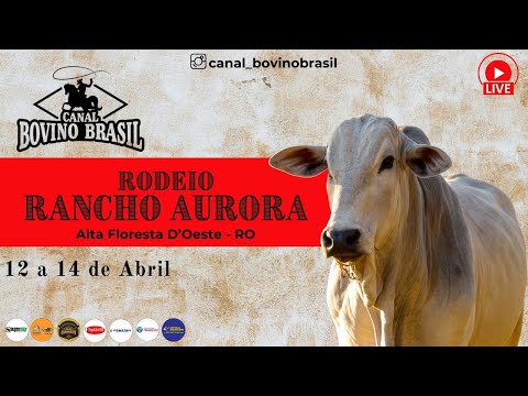 3ª Festa De Laço Comprido Rancho Aurora Alta Floresta D´Oeste - RO   Domingo