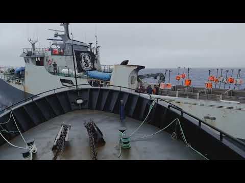 Behind The Music: Stars and Rabbit | #TheOutlawOceanMusicProject | Ian Urbina