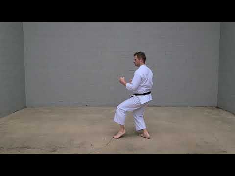 Karate Moves | NEKO ASHI DACHI - CAT STANCE - 猫足立