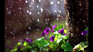 The Flowers Will Never Die - Elton John// Letra Español