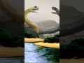 See How Snakes Honor Love 2022 New Funny Video Shorts Viral