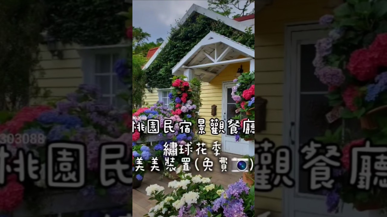 #桃園景觀餐廳 #普拉多山丘假期 #桃園賞花景點 #桃園民宿 #小紫吃喝玩樂 #北橫美食 #北橫賞花景點  #花現台七 #繡球金針農遊趣 #taoyuantravel #taoyuant #繡球花