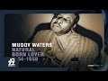 Muddy Waters - All Aboard