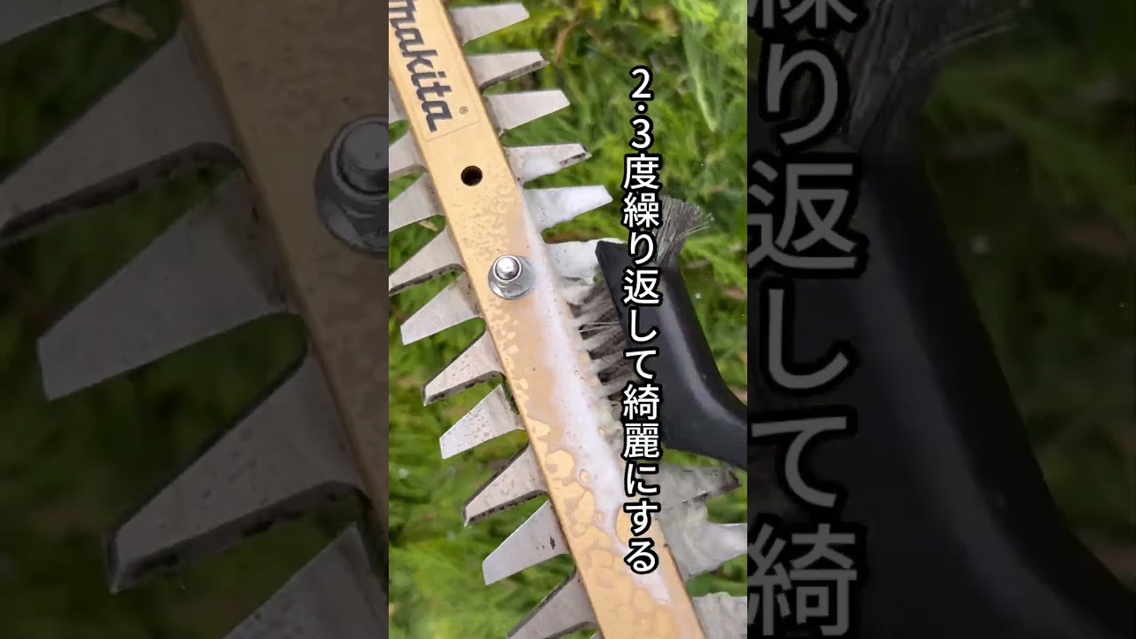 水が無い現場でもバリカンを綺麗にする工夫