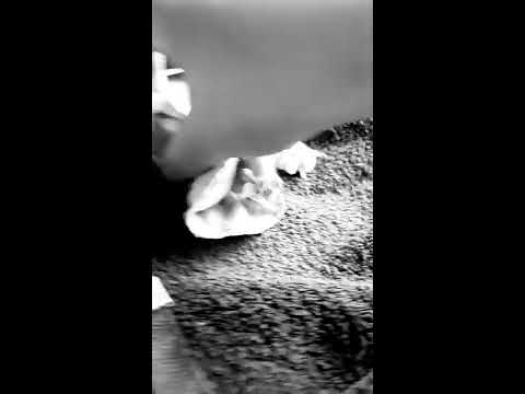 LOL dolls Anna and Sunflower can't sleep part 1 Ep3