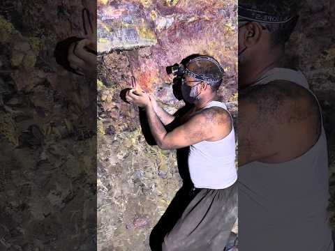 Mine The Deep - Postdata