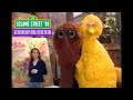 Sesame Street 99 Big Bird And Snuffy Draw A Picture For Gina
