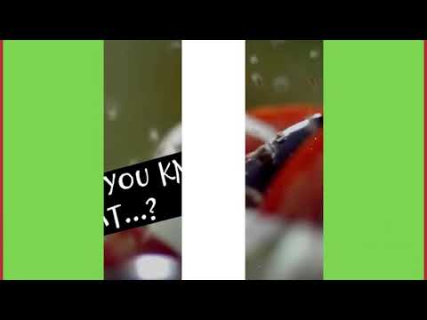 SPESA ZERO WASTE // Healthy is Beautiful by Giada Todesco