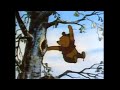 Winnie The Pooh Little Black Rain Cloud