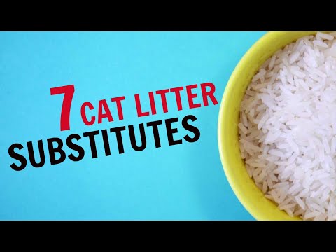 EMERGENCY CAT LITTER | 7 Cat Litter Substitutes