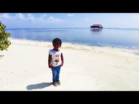 Kittu's Heartfelt New Year Wishes for 2022