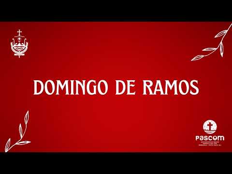 🌿 Domingo de Ramos | Transmissão ao Vivo 🌿 | Paróquia São José – Mangazala | Porto Calvo - AL