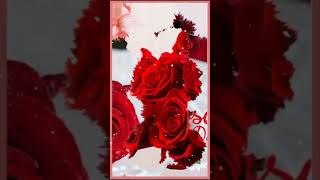 Rose day#roseday //Rose day whatsapp status 2022//happy Rose day status//1 February Rose day status