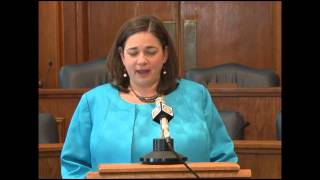 Senator Jolie Justus (D-Kansas City) l Legislative Session Review 2014 l Minority Priorities