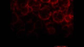 O.S.I. - BLOOD - THE ESCAPE ARTIST