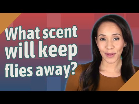 What scent will keep flies away?