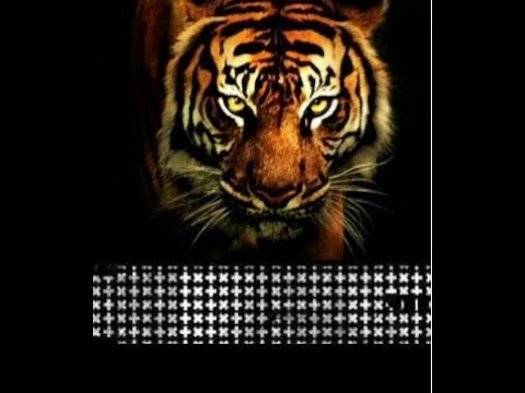 Martin Garrix & Brooks - Byte VS Eye Of The Tiger Mashup Remix