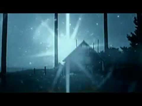 Please don't disappear