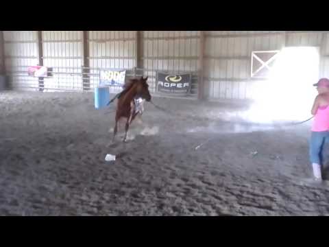 Little Stewart Olena "Stewart" - 07/23/2016 -2