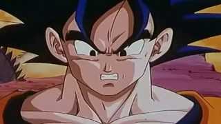 Porta-Espiritu [DBZ]