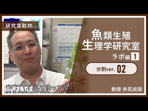 ガビアリ科 - 定義