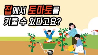 [터치정보農 47편] 화분토마토 체험학습단 (feat. 한국4-H경기도본부)