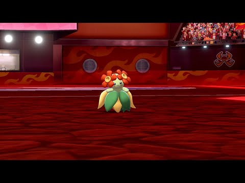 Click to play Video
