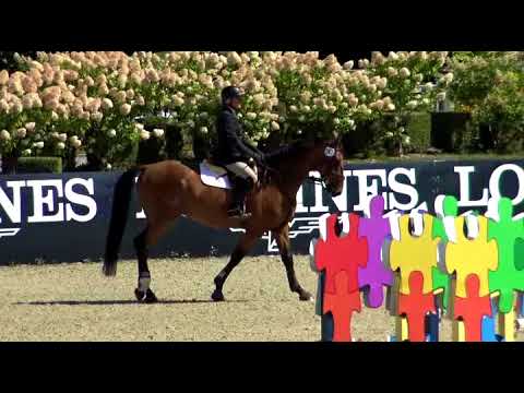 Georgann & VDL Iglesias Summer Fort Festival August 2017