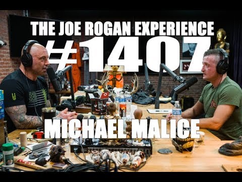 Joe Rogan Experience #1407 - Michael Malice