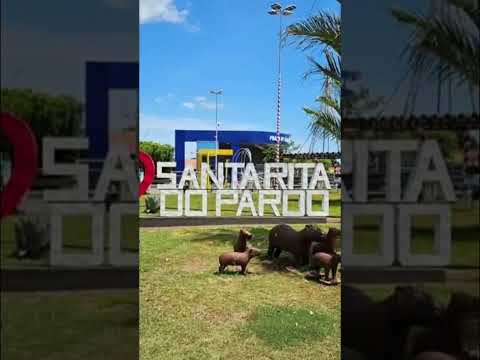 santa rita do pardo ms #santaritadopardo #matogrossodosul