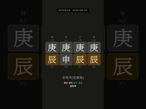 여덟 글자가 한 가지 기운으로만 채워지면 | 알고리즘으로 푸는 사주 8