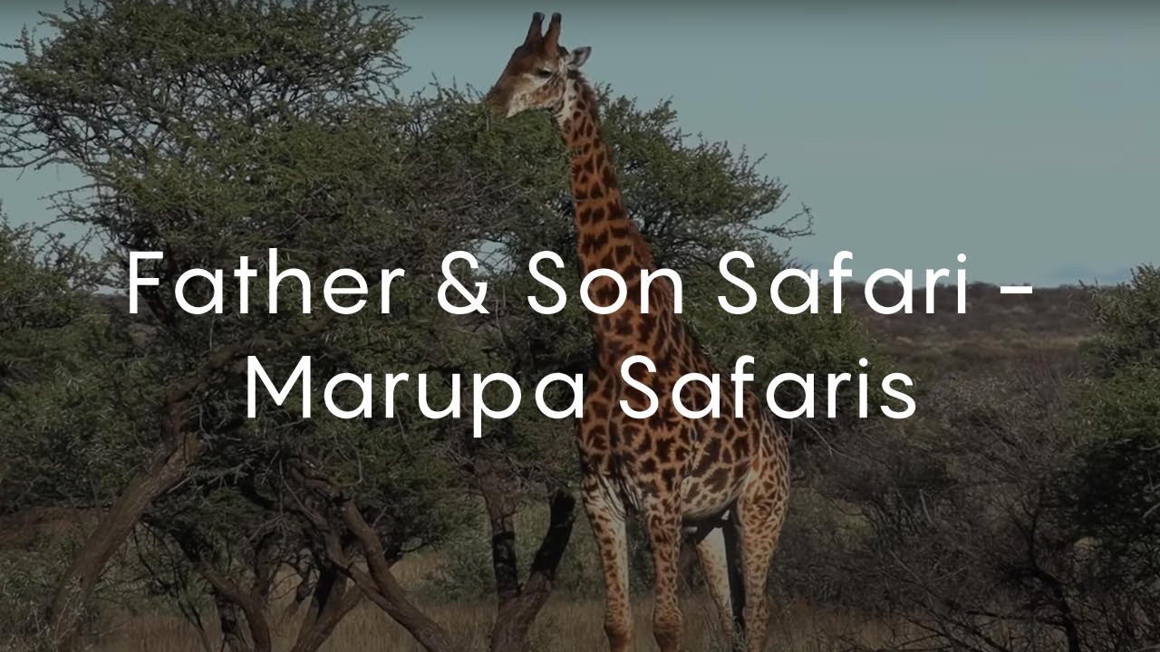 Father & Son Safari - Marupa Safaris