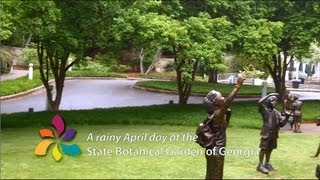 preview picture of video 'A Rainy Day at the State Botanical Garden of Georgia'