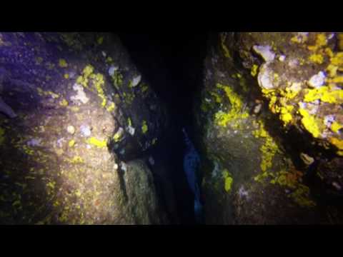 大教堂洞穴-塔斯马尼亚岛的水肺潜水1zplay