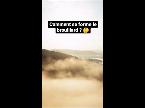 Comment se forme le brouillard 🤔 #shorts