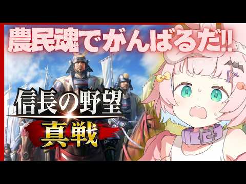 【#信長の野望真戦 】06/熱い漢たちの戦い…生き残れるか??!🔥🐰 #pr #姫たちの真戦