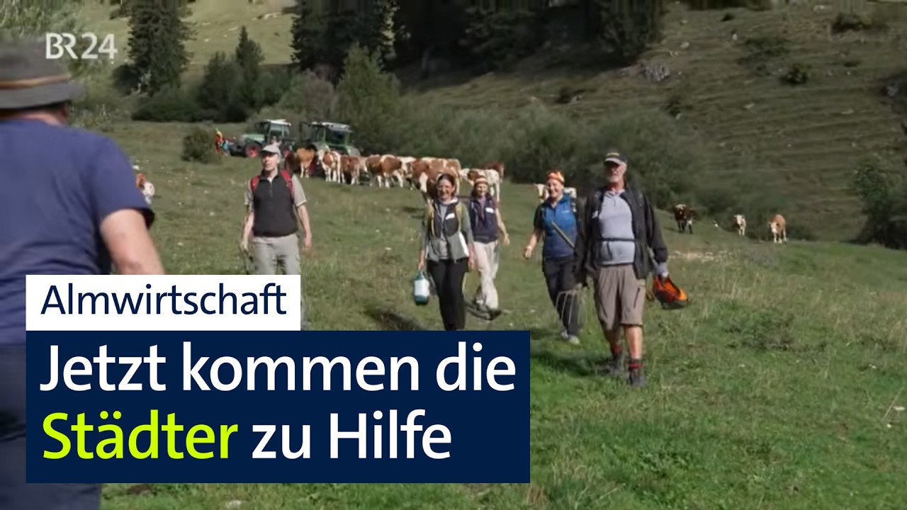 "Natur pur"? Städter wollen Almbauer bei der Arbeit unterstützen | Abendschau | BR24