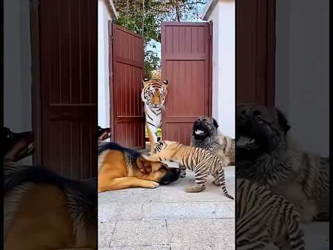 kiya re ab bolti band ho gyi