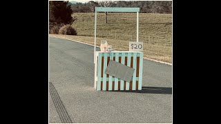 Cover art for Unsweetened Lemonade