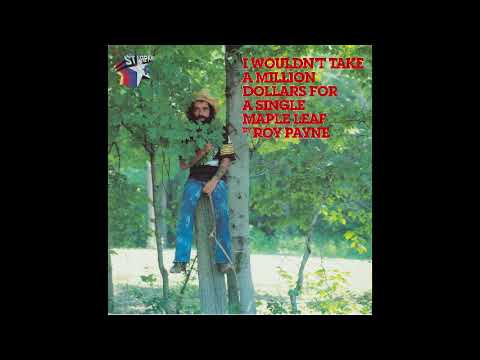 Roy Payne - It's Time I Started Smiling Once Again (1980)