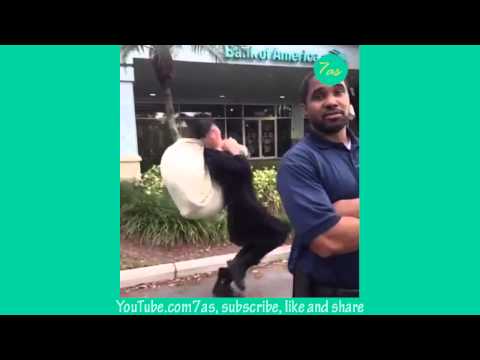 Best vines of 2014 compilation