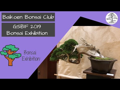GSBF 2019 Riverside Bonsai Exhibit