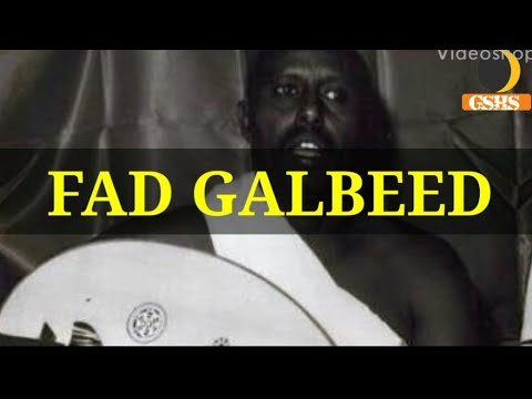 Cumar dhuule || Fad galbeed with lyrics