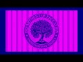 PBS Kids Funding Plug In Navy Violet Version