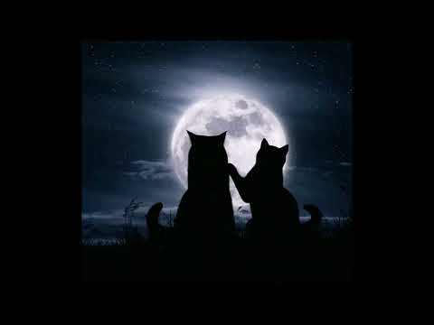 Billy and girlfriend.  Singing underneath a starry night