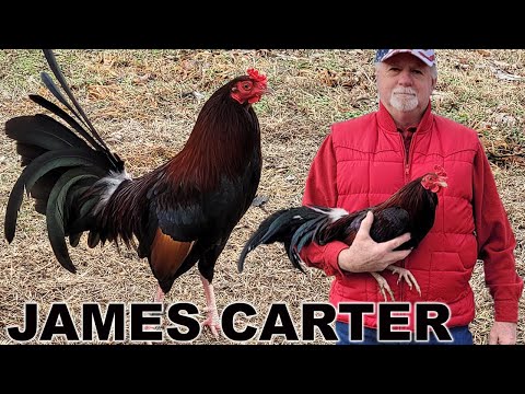 OKLAHOMA Asil Kelso Radio James Carter Double Tough Farms - Beautiful Birds Farm Visit